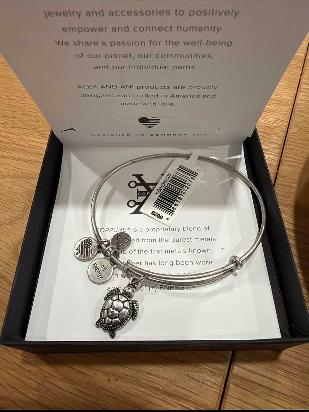 Alex and Ani Silver Turtle Charm Bangle Bracelet with Charm Discs